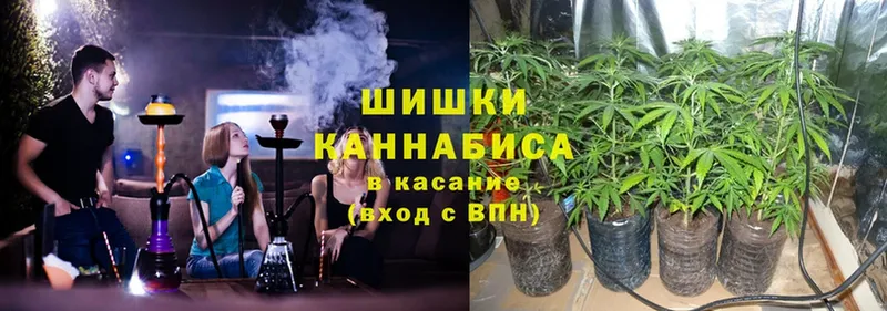 Марихуана White Widow  кракен ССЫЛКА  Печора 